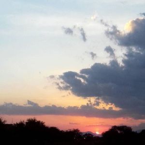 Meet your Posher, Carol